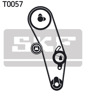 Timing Belt Set - VKMA 01020 SKF