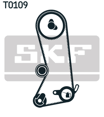 Timing Belt Set - VKMA 06301 SKF