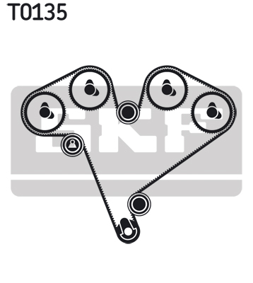 Timing Belt Set - VKMA 05501 SKF