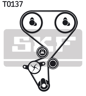 Timing Belt Set - VKMA 03130 SKF