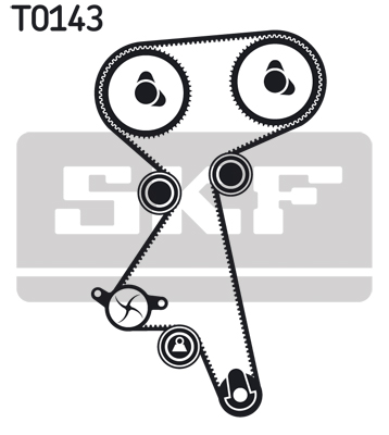 Timing Belt Set - VKMA 02186 SKF