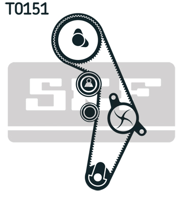Timing Belt Set - VKMA 01918 SKF