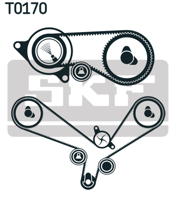 Timing Belt Set - VKMA 01952 SKF