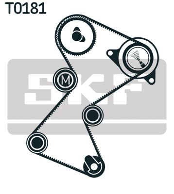 Timing Belt Set - VKMA 06117 SKF