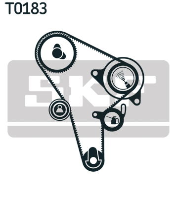 Timing Belt Set - VKMA 01015 SKF