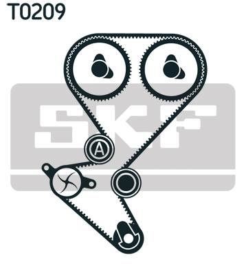 Timing Belt Set - VKMA 03258 SKF