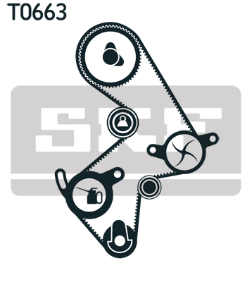 Timing Belt Set - VKMA 91003 SKF