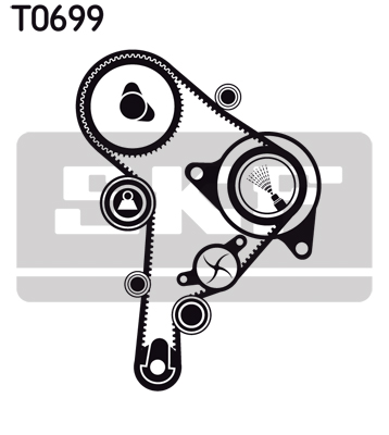 Timing Belt Set - VKMA 01251 SKF