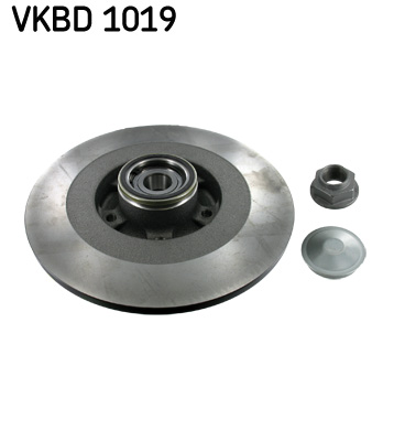 Brake Disc - VKBD 1019 SKF