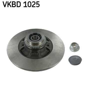 Brake Disc - VKBD 1025 SKF
