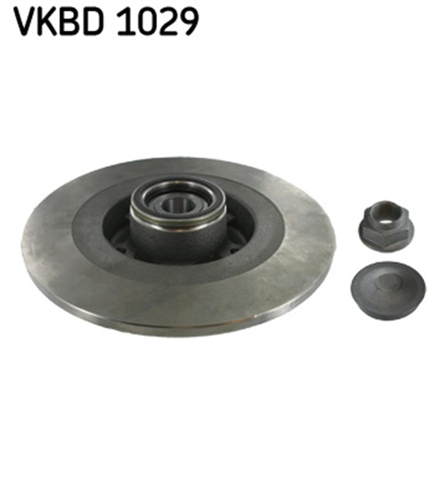 Тормозной диск - VKBD 1029 SKF
