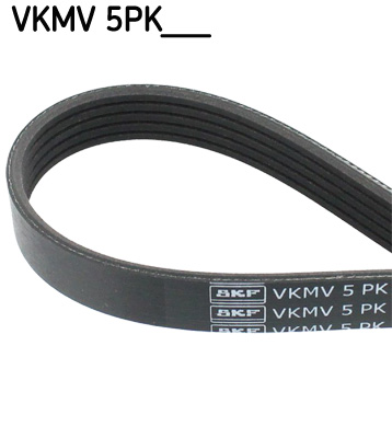 V-Ribbed Belt - VKMV 5PK1160 SKF