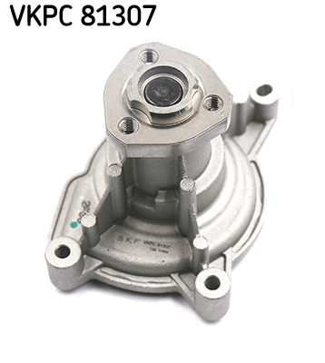 Water Pump - VKPC 81307 SKF