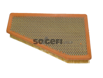 oro filtras - CA9620 FRAM
