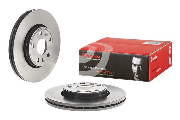 Brake Disc - 09.8137.31 BREMBO