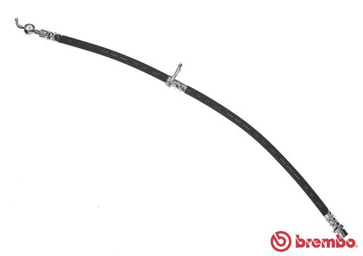 Flessibile del freno - T 11 013 BREMBO