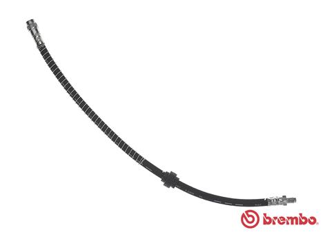 Flessibile del freno - T 11 015 BREMBO