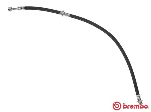 Flessibile del freno - T 56 150 BREMBO