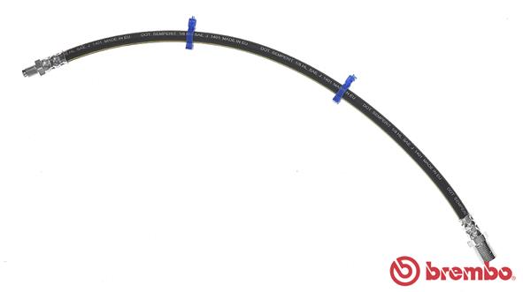 Flessibile del freno - T A6 024 BREMBO