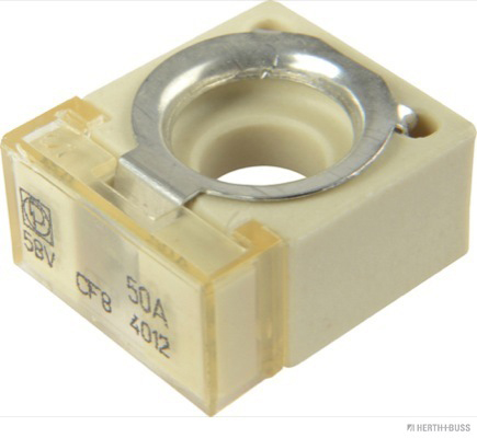 Fusibile - 50295880 HERTH+BUSS ELPARTS
