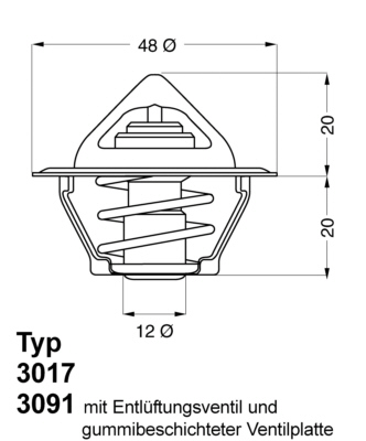 Thermostat, coolant - 3017.87D2 BorgWarner (Wahler)