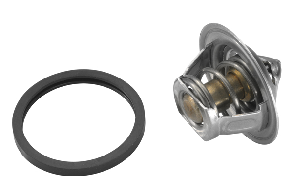 Thermostat, coolant - 3017.92D2 BorgWarner (Wahler)