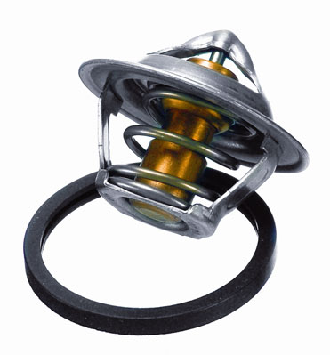 Thermostat, coolant - 3017.87D2 BorgWarner (Wahler)