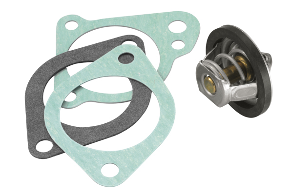 Thermostat, coolant - 3021.92D50 BorgWarner (Wahler)