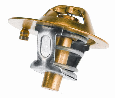 Thermostat, coolant - 3119.82D3 BorgWarner (Wahler)