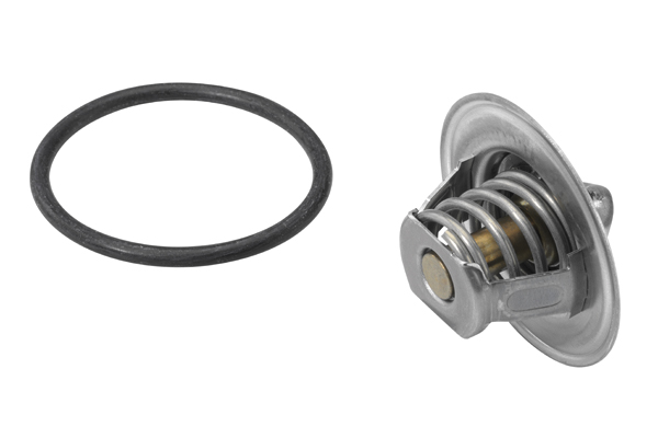 Thermostat, coolant - 3141.87D BorgWarner (Wahler)