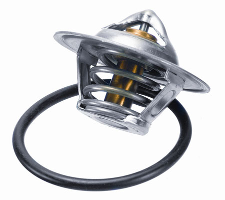 Thermostat, coolant - 3141.87D BorgWarner (Wahler)