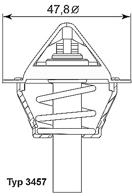 Thermostat, coolant - 3457.90D BorgWarner (Wahler)