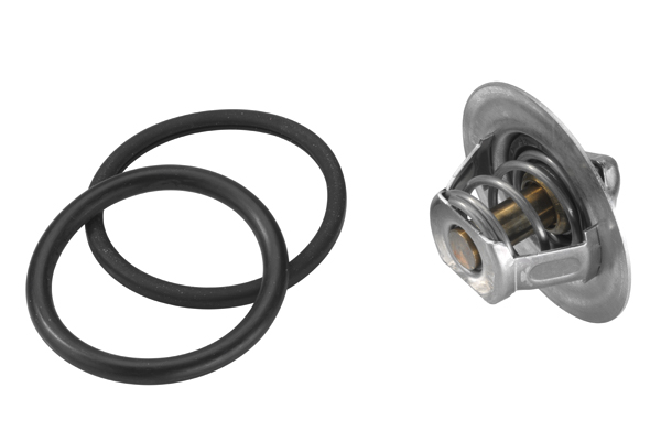 Thermostat, coolant - 3470.89D50 BorgWarner (Wahler)