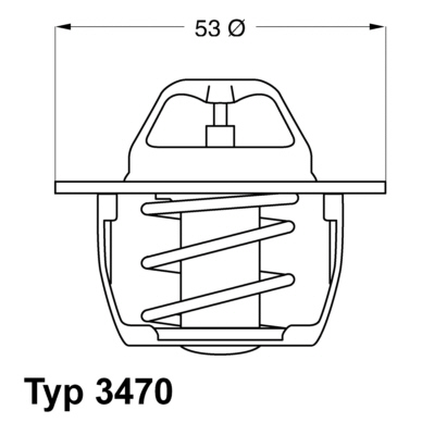 Thermostat, coolant - 3470.89D50 BorgWarner (Wahler)