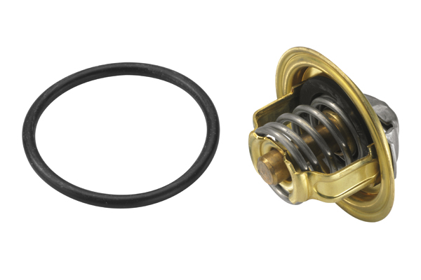 Thermostat, coolant - 3472.87D BorgWarner (Wahler)