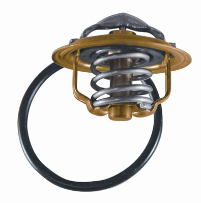 Thermostat, coolant - 3472.87D BorgWarner (Wahler)