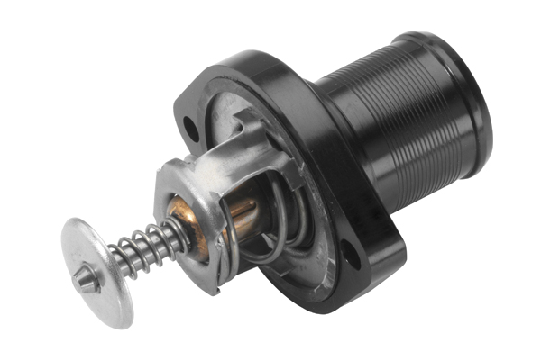 Thermostat, coolant - 3483.89D BorgWarner (Wahler)