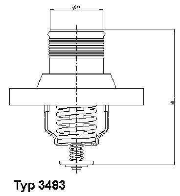 termostatas, aušinimo skystis - 3483.89D BorgWarner (Wahler)
