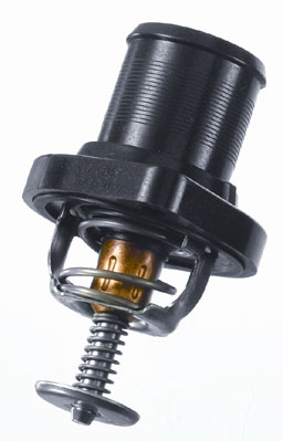 Thermostat, coolant - 3483.89D BorgWarner (Wahler)
