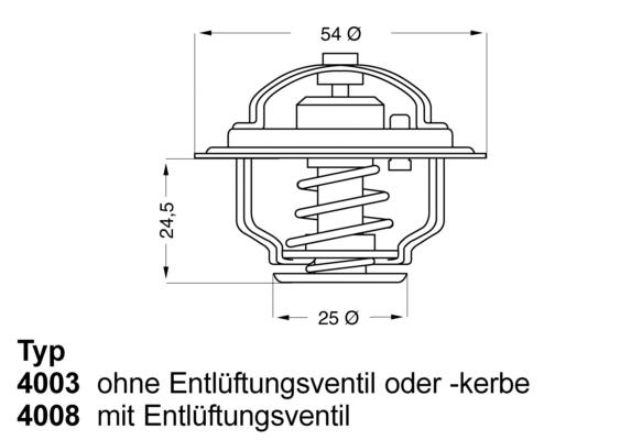 Thermostat, coolant - 4008.74D BorgWarner (Wahler)