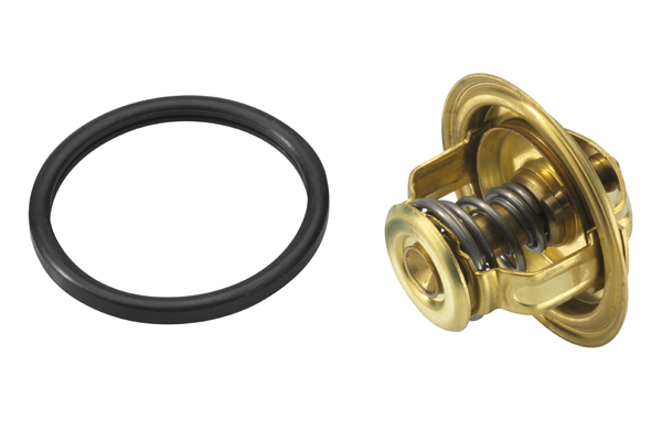Thermostat, coolant - 4008.74D BorgWarner (Wahler)