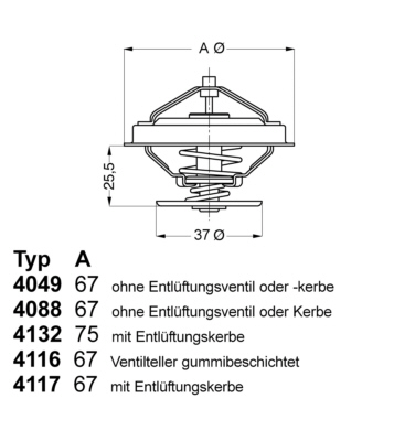 Termostato, Refrigerante - 4049.87D BorgWarner (Wahler)