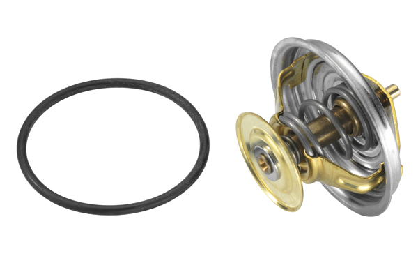 Thermostat, coolant - 4049.87D BorgWarner (Wahler)