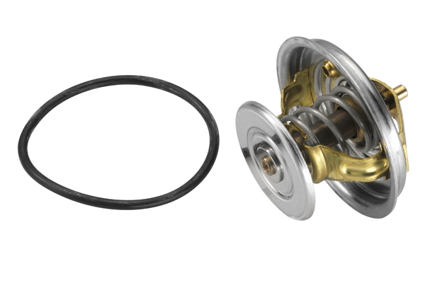 Termostato, Refrigerante - 4078.87D BorgWarner (Wahler)