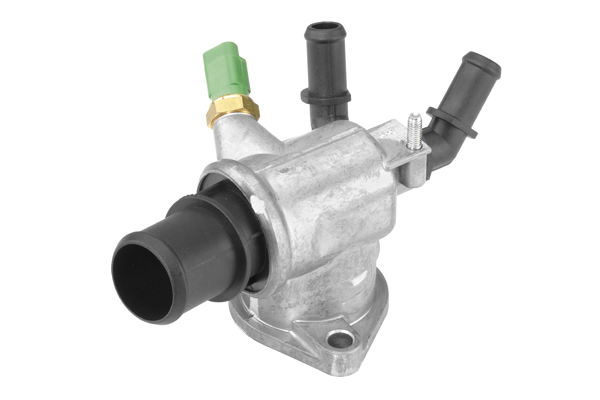 Thermostat, coolant - 410049.88D BorgWarner (Wahler)