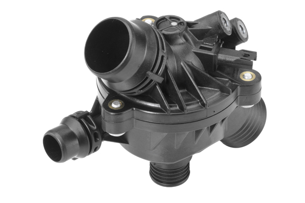 Thermostat, coolant - 410086.97D0 BorgWarner (Wahler)