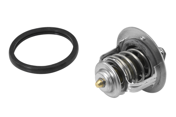 Thermostat, coolant - 410179.84D BorgWarner (Wahler)
