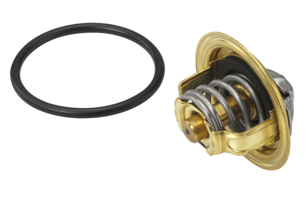 Thermostat, coolant - 410396.82D BorgWarner (Wahler)