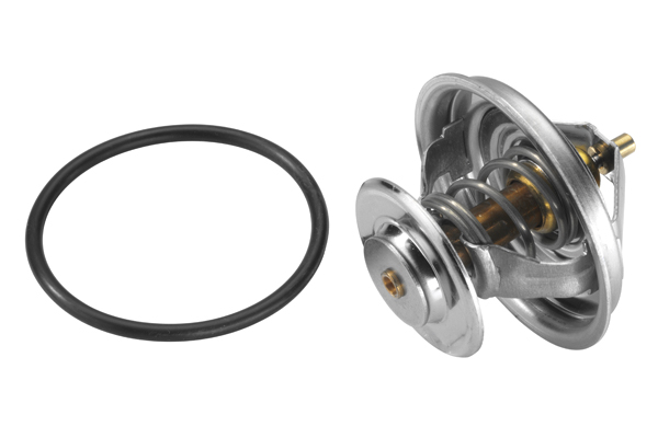 Thermostat, coolant - 4105.79D BorgWarner (Wahler)