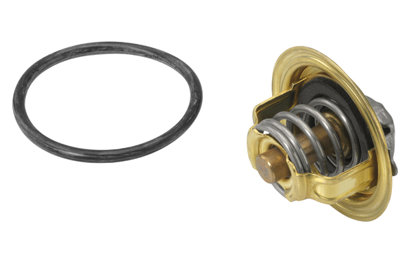 termostatas, aušinimo skystis - 410537.92D BorgWarner (Wahler)